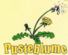 Logo of the bookshop 'Pusteblume' in Dresden